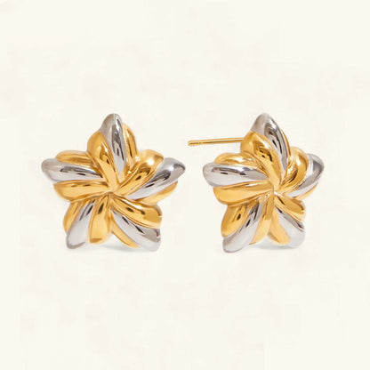 [Echo Fine]Thymes Gold Star Earrings