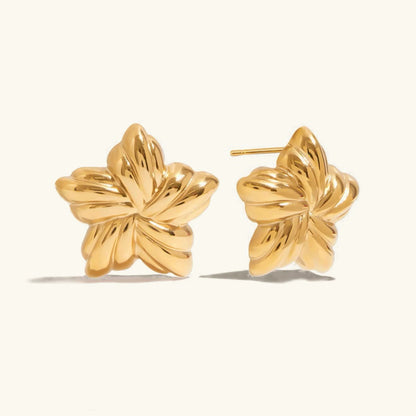 [Echo Fine]Thymes Gold Star Earrings