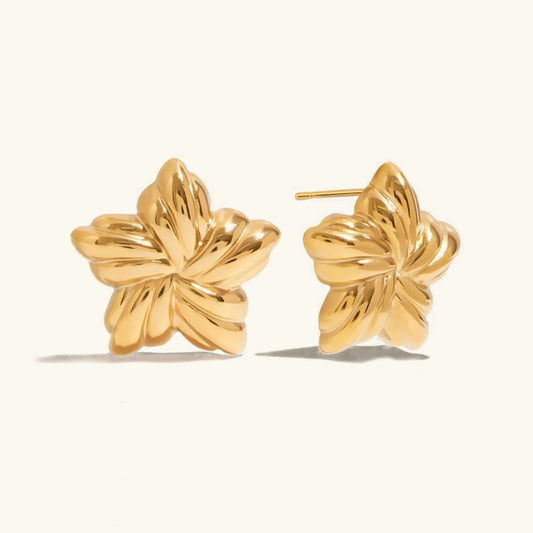 [Echo Fine]Thymes Gold Star Earrings