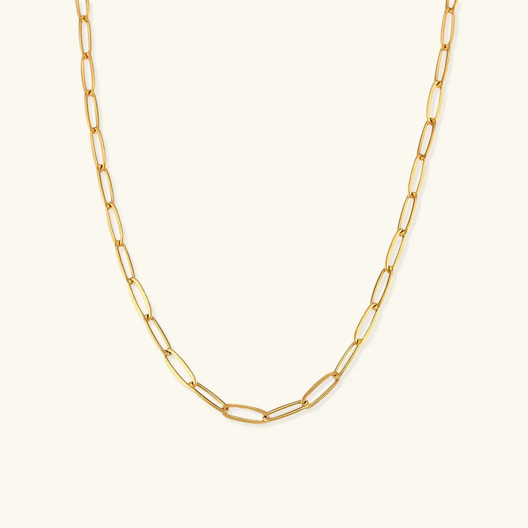 [Echo Fine]Lena Golden Chain Necklace