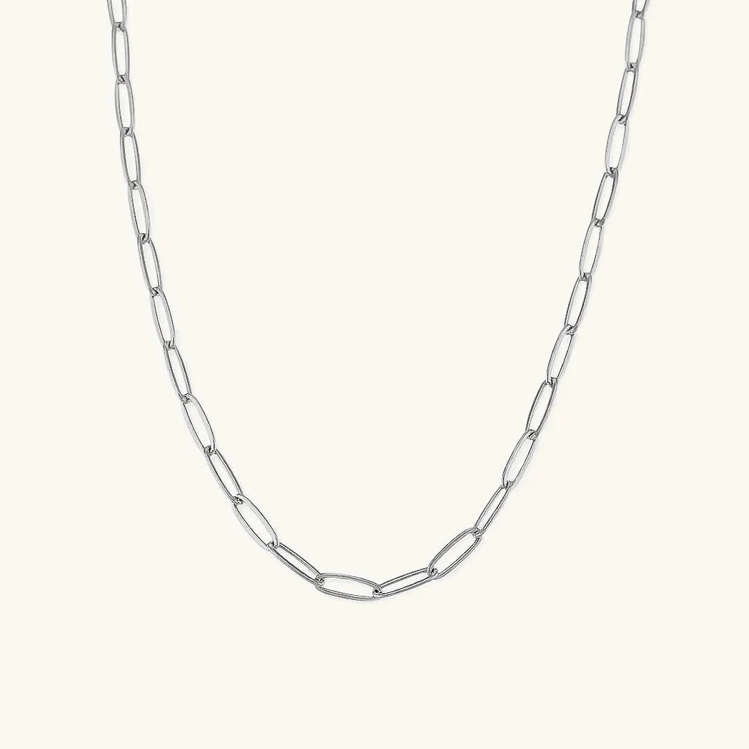 [Echo Fine]Lena Golden Chain Necklace