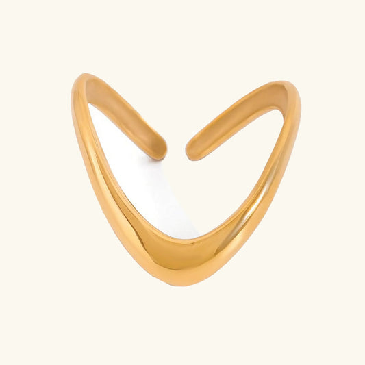 [Echo Fine]Paisley Gold Arc Ring